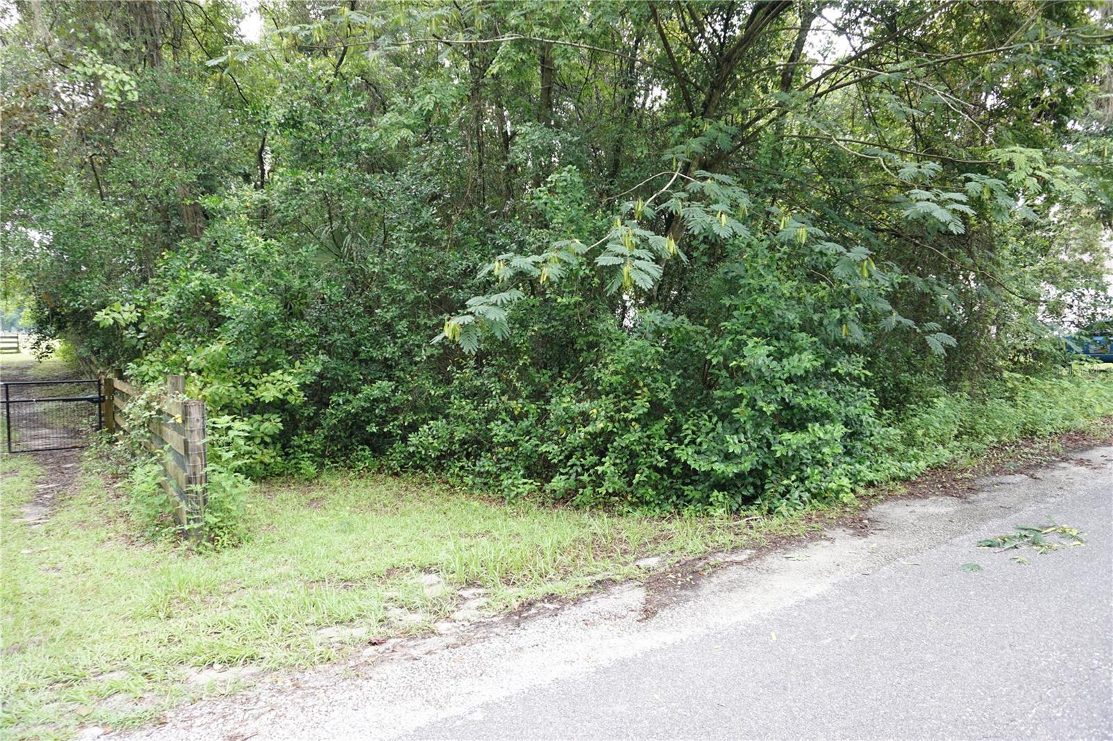 12701 NW 38TH AVE, REDDICK, FL — photo 15