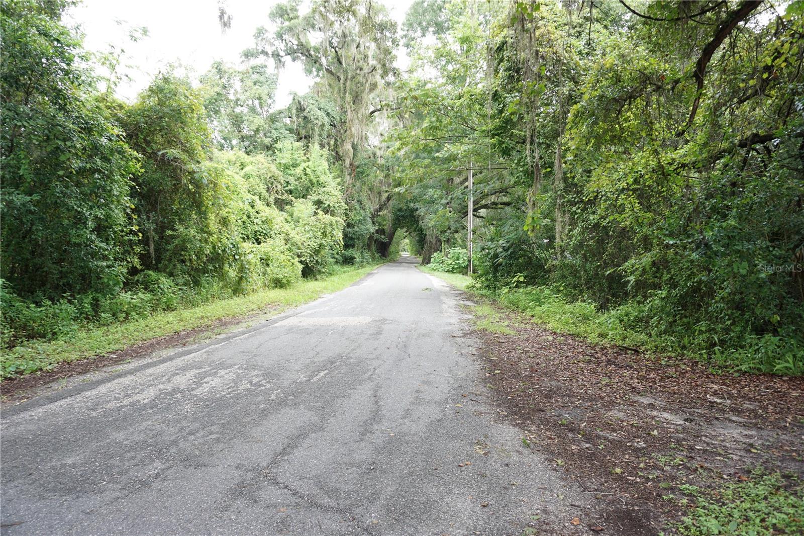 12701 NW 38TH AVE, REDDICK, FL — photo 16