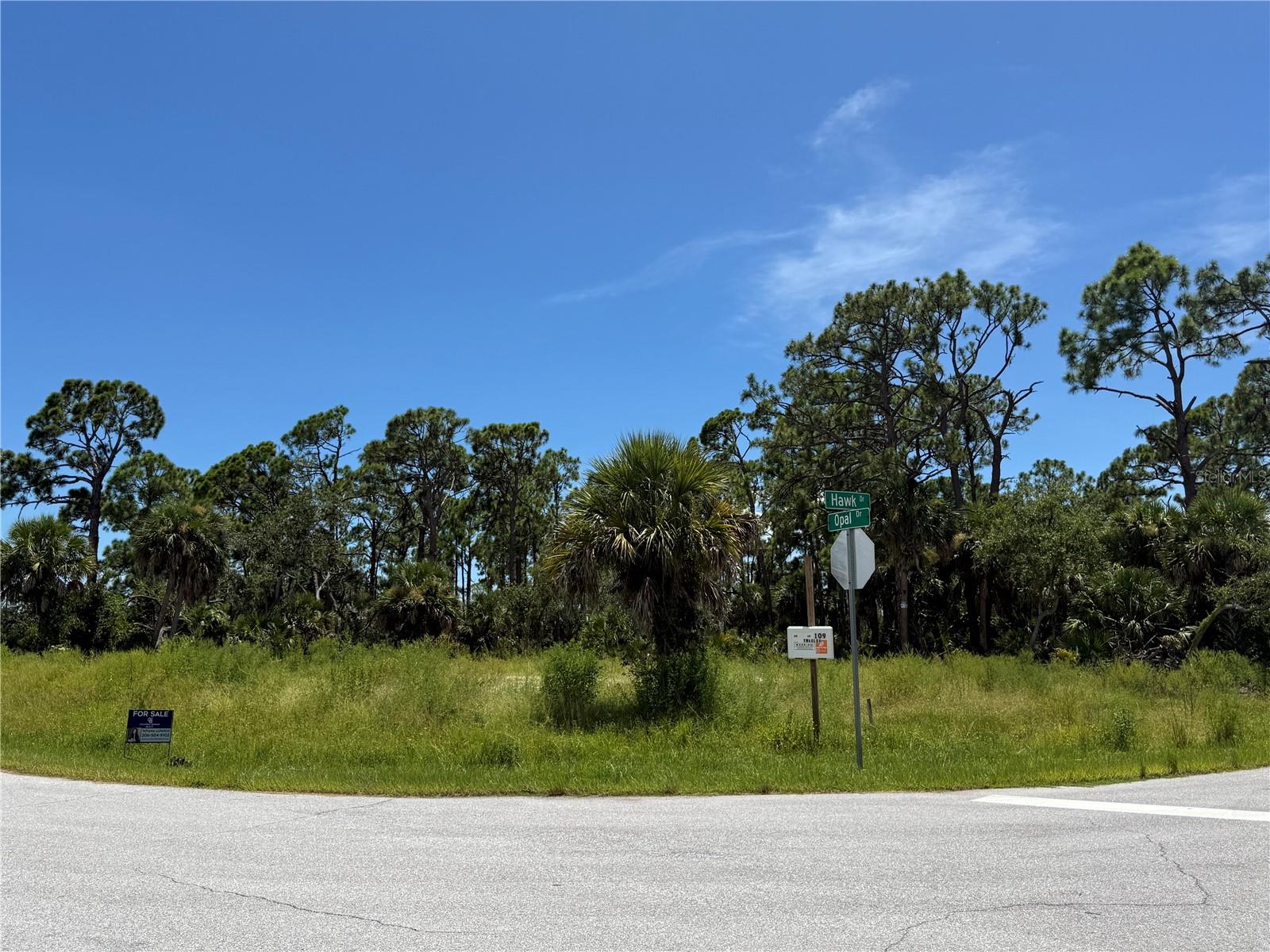 109 HAWK DR, ROTONDA WEST, FL
