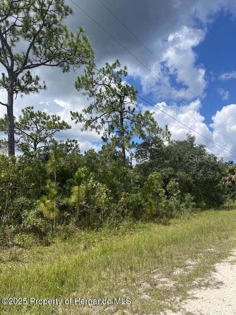 0 0 YELLOW FROG AVE, WEEKI WACHEE, FL