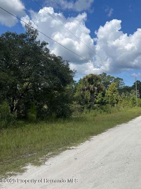0 0 YELLOW FROG AVE, WEEKI WACHEE, FL — photo 2