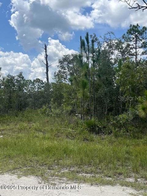 0 0 YELLOW FROG AVE, WEEKI WACHEE, FL — photo 3