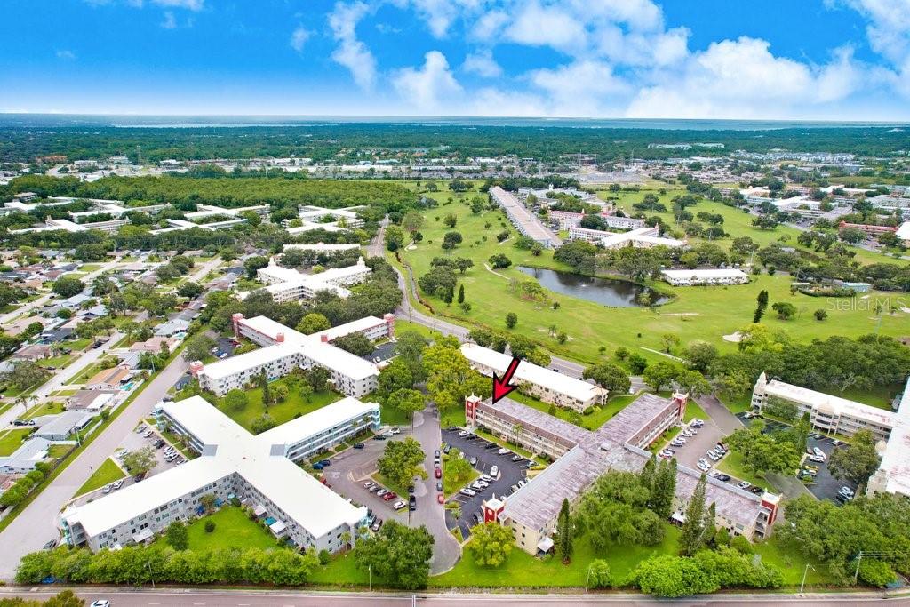 2361 JAMAICAN ST #51, CLEARWATER, FL — photo 40