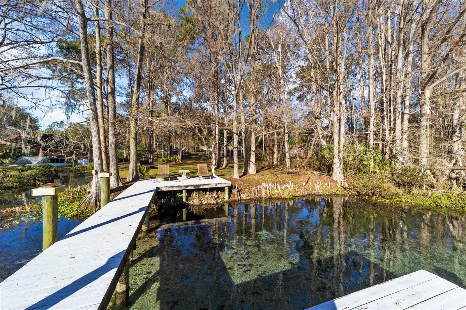 10801 SW 185TH TER, DUNNELLON, FL — photo 8