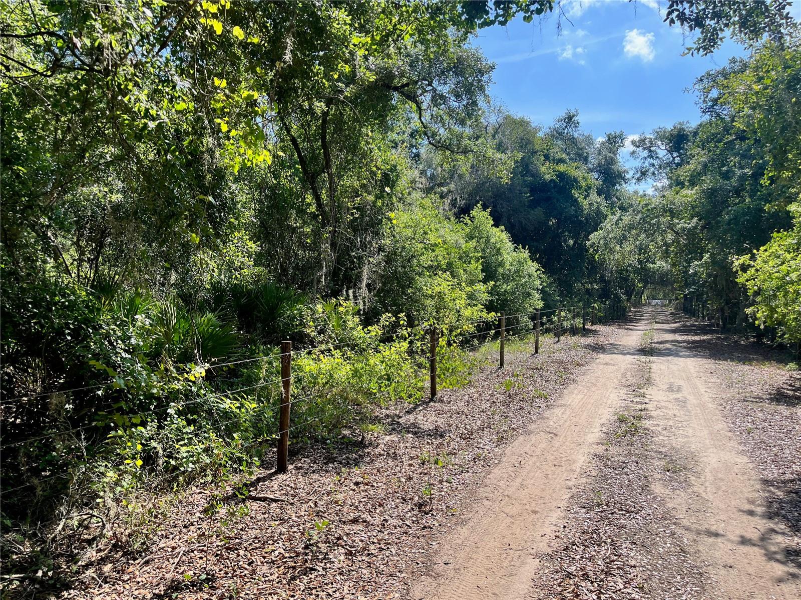 2 SENDCASTLE DR, GROVELAND, FL — photo 13
