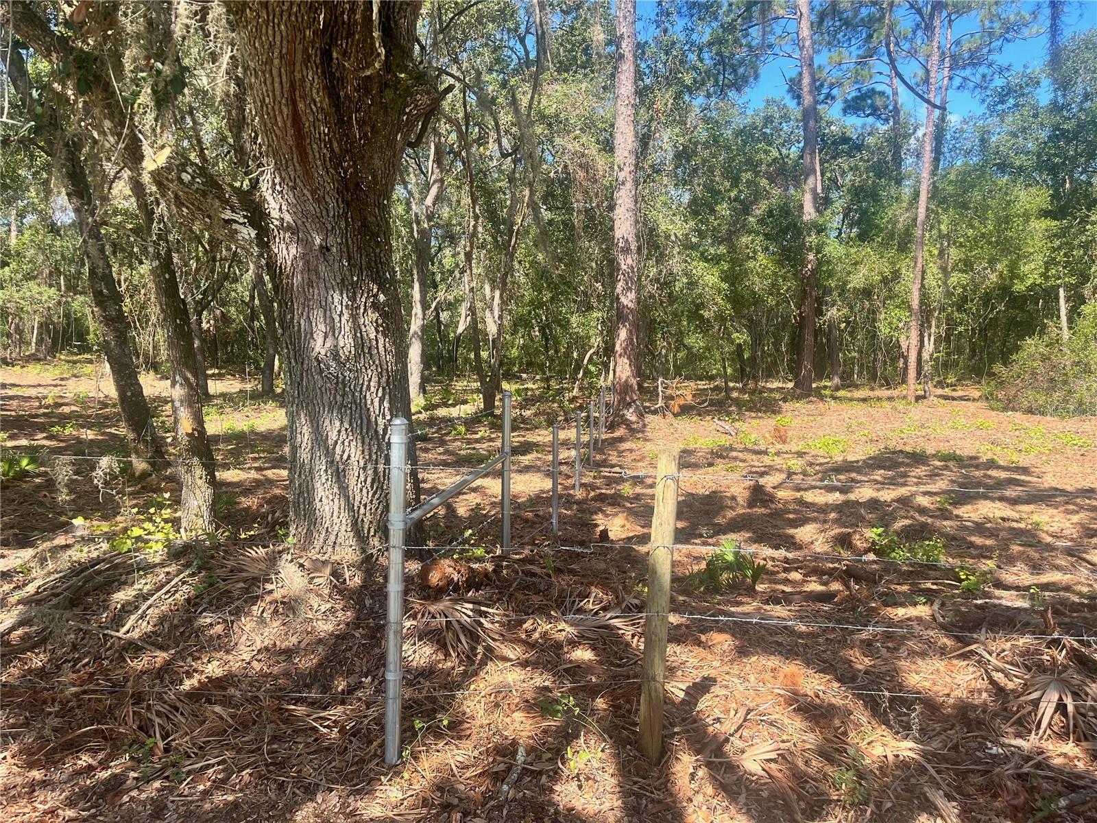 2 SENDCASTLE DR, GROVELAND, FL — photo 21