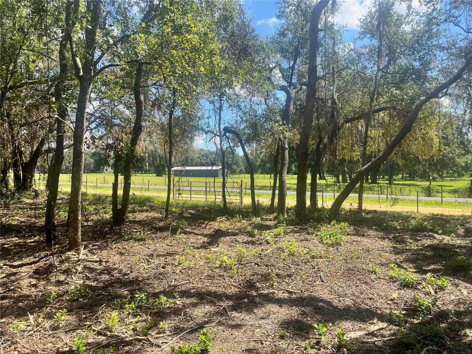 2 SENDCASTLE DR, GROVELAND, FL — photo 30