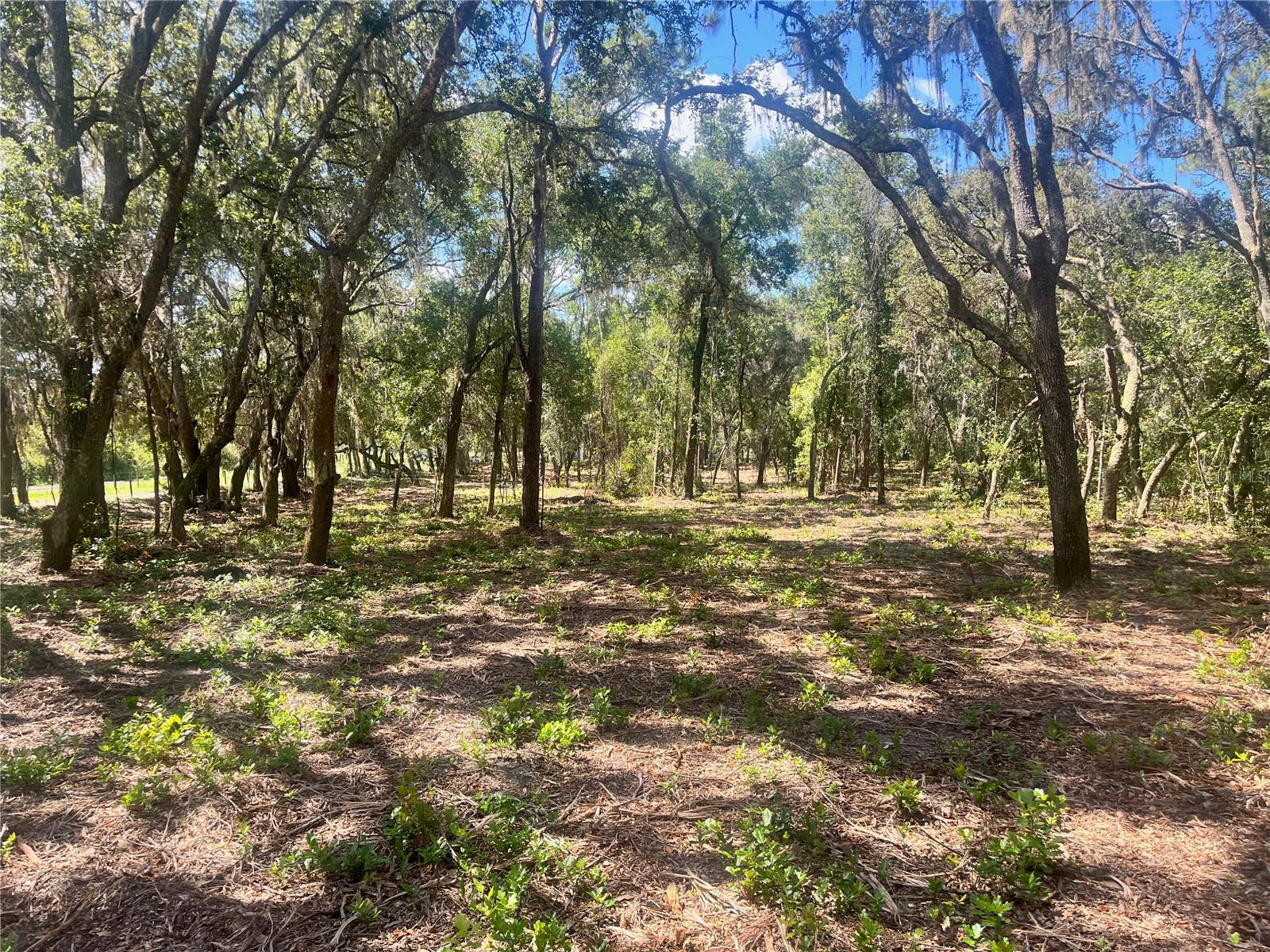 2 SENDCASTLE DR, GROVELAND, FL — photo 32