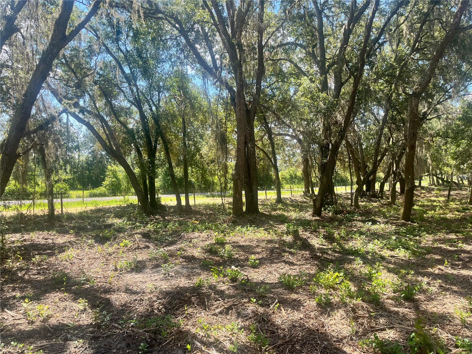 2 SENDCASTLE DR, GROVELAND, FL — photo 34