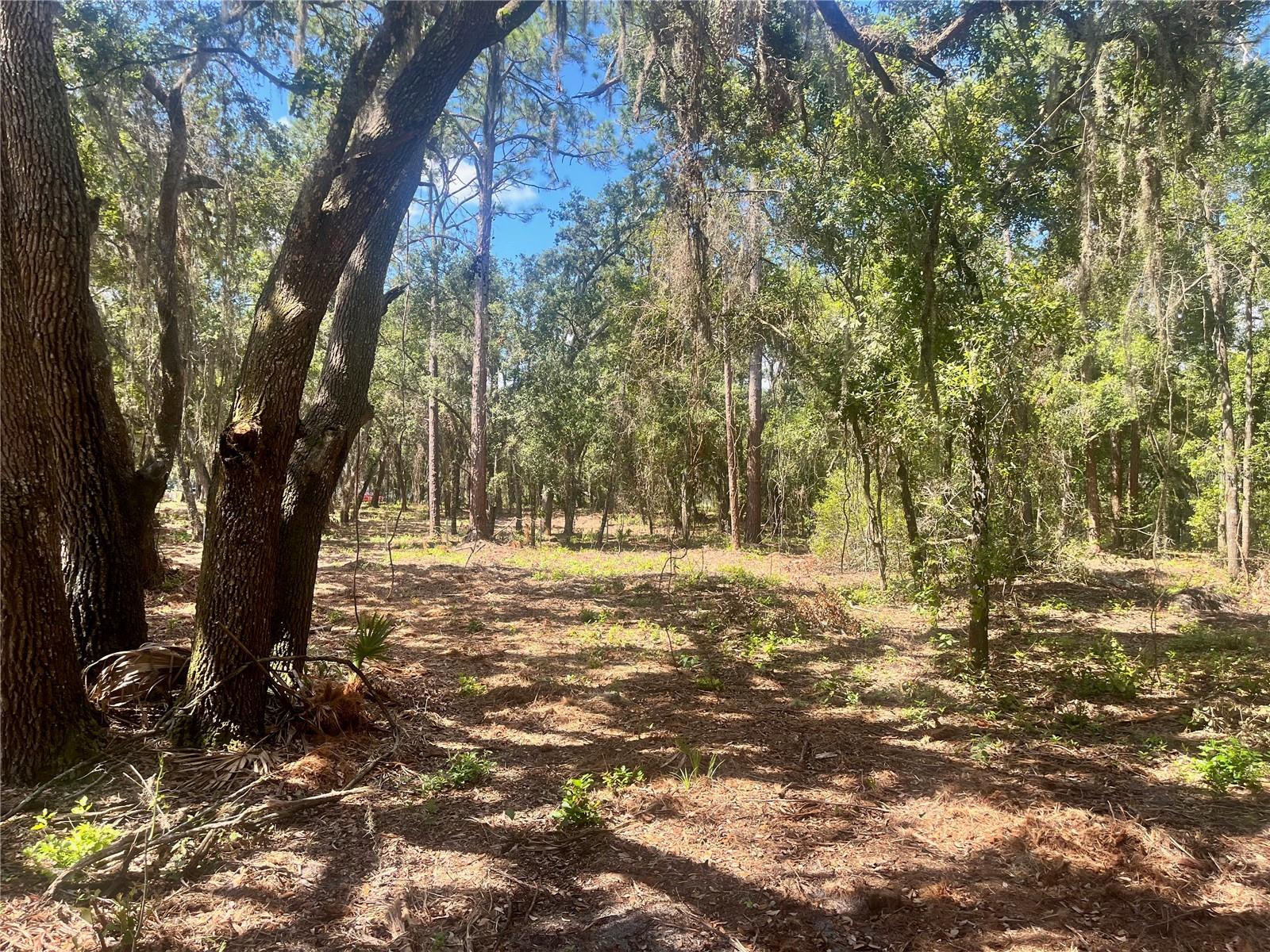 2 SENDCASTLE DR, GROVELAND, FL — photo 42