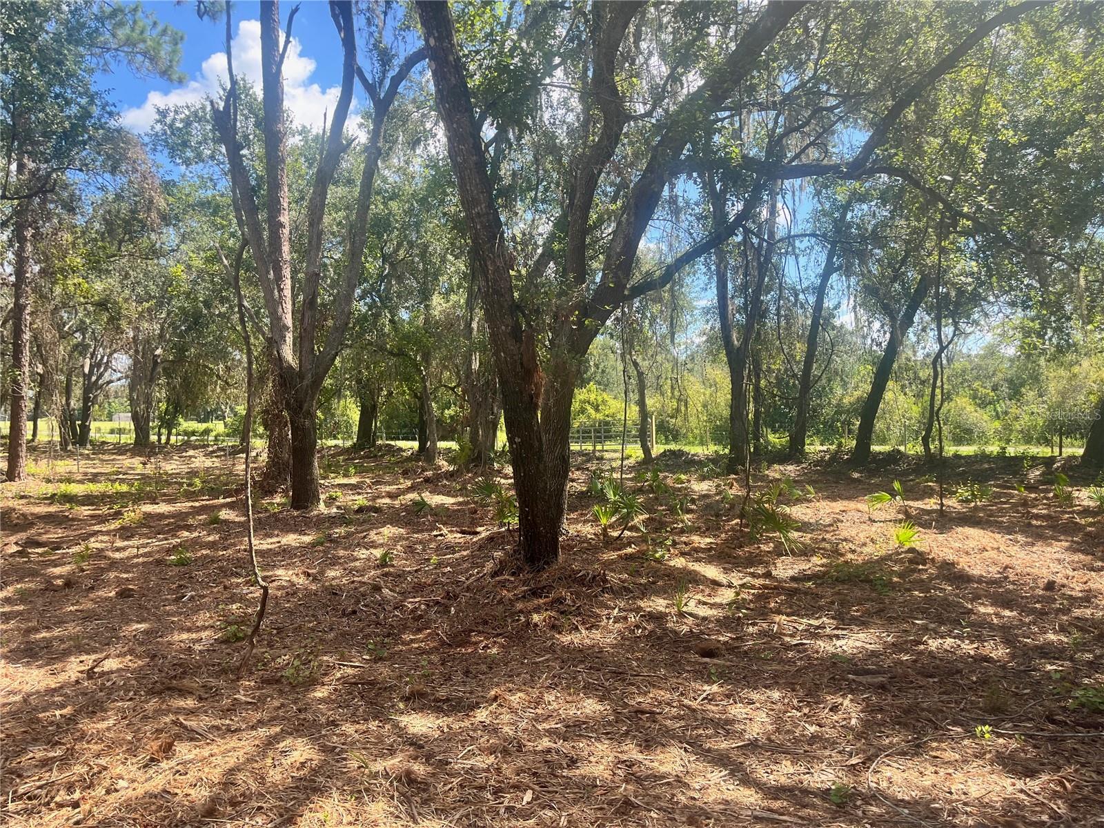 2 SENDCASTLE DR, GROVELAND, FL — photo 48
