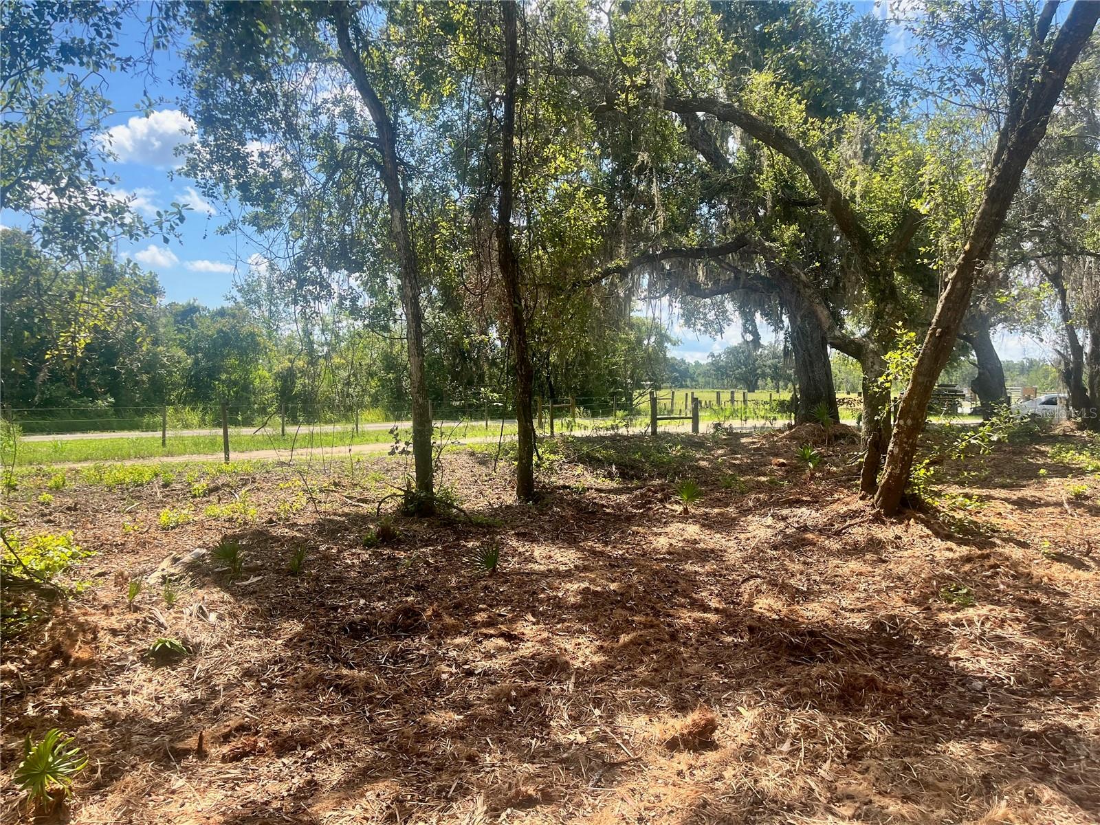 2 SENDCASTLE DR, GROVELAND, FL — photo 54