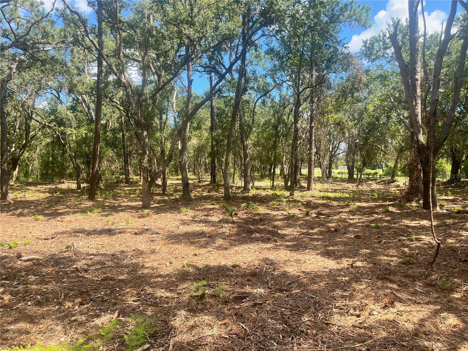 2 SENDCASTLE DR, GROVELAND, FL — photo 57