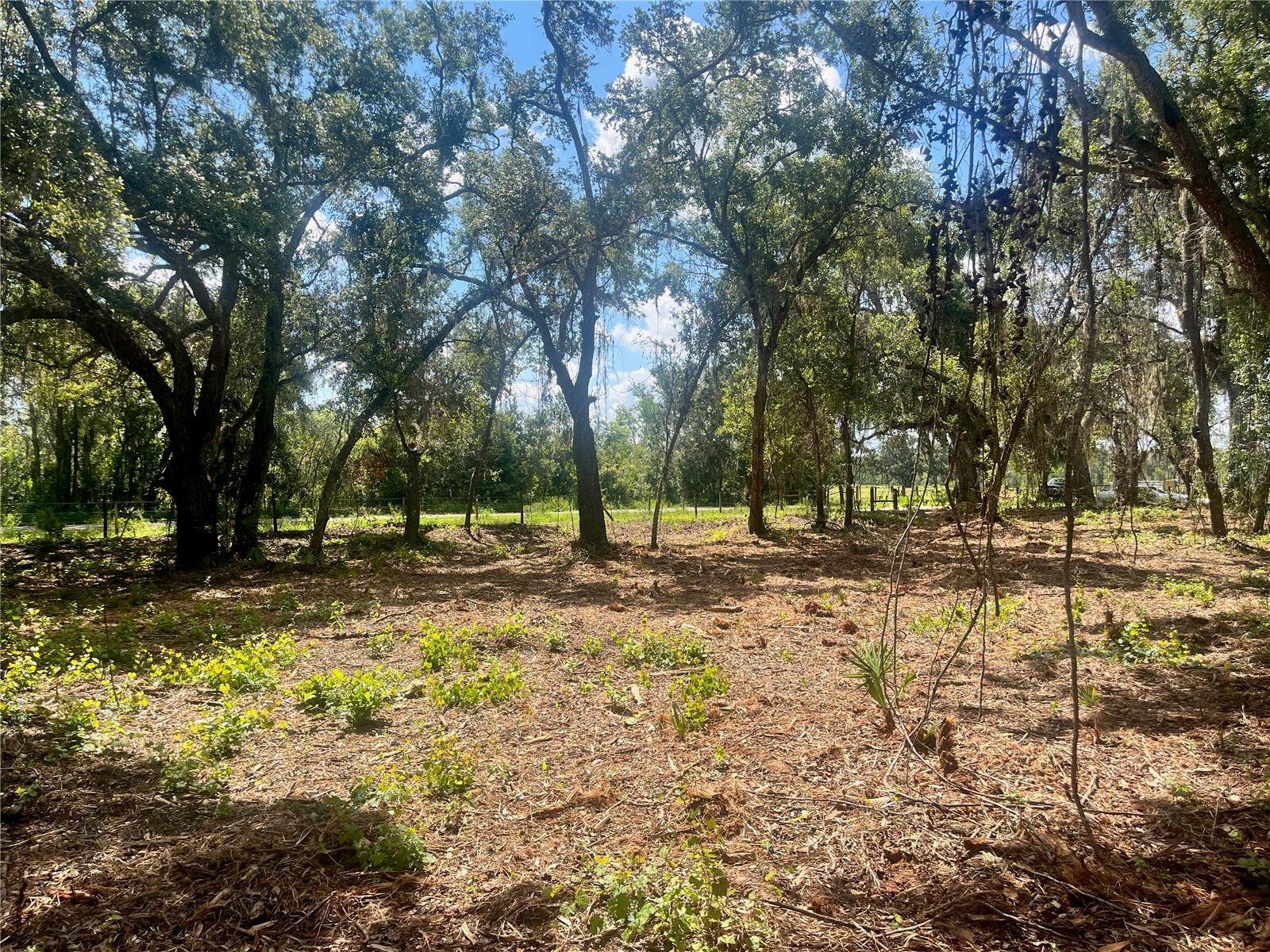 2 SENDCASTLE DR, GROVELAND, FL — photo 60