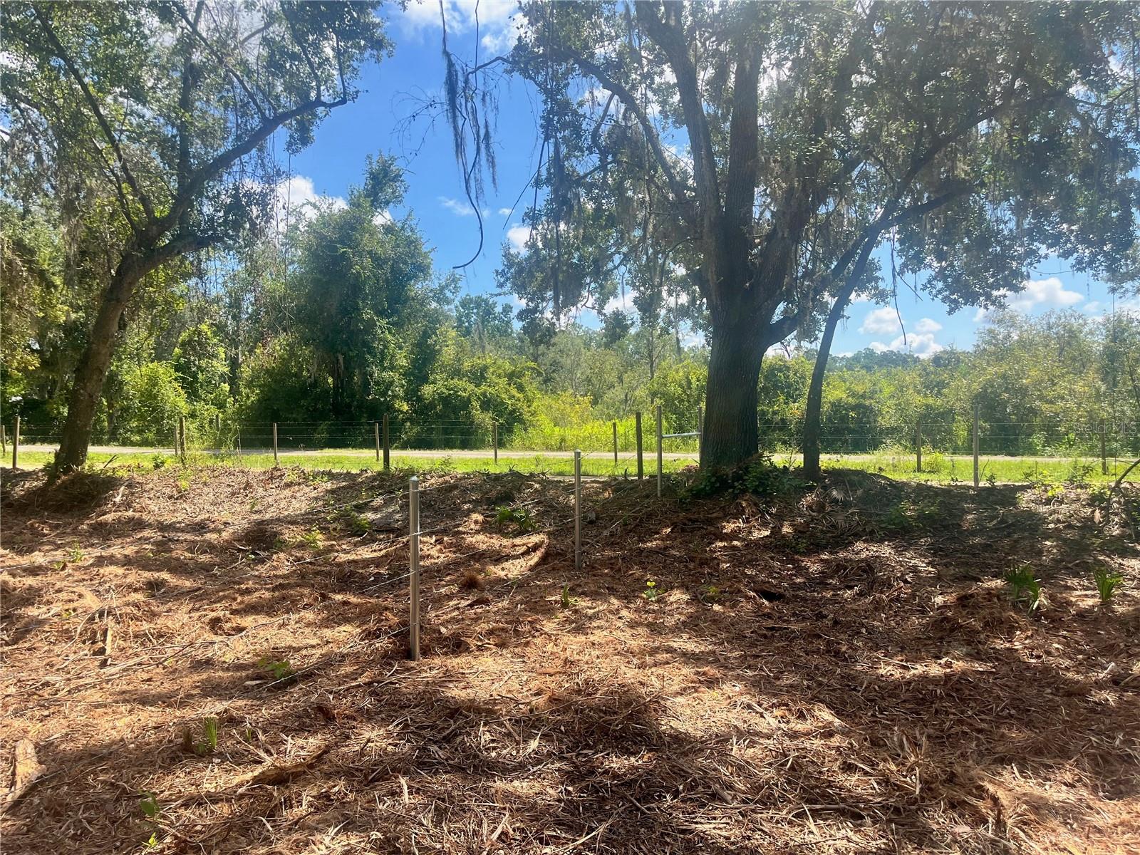 2 SENDCASTLE DR, GROVELAND, FL — photo 71