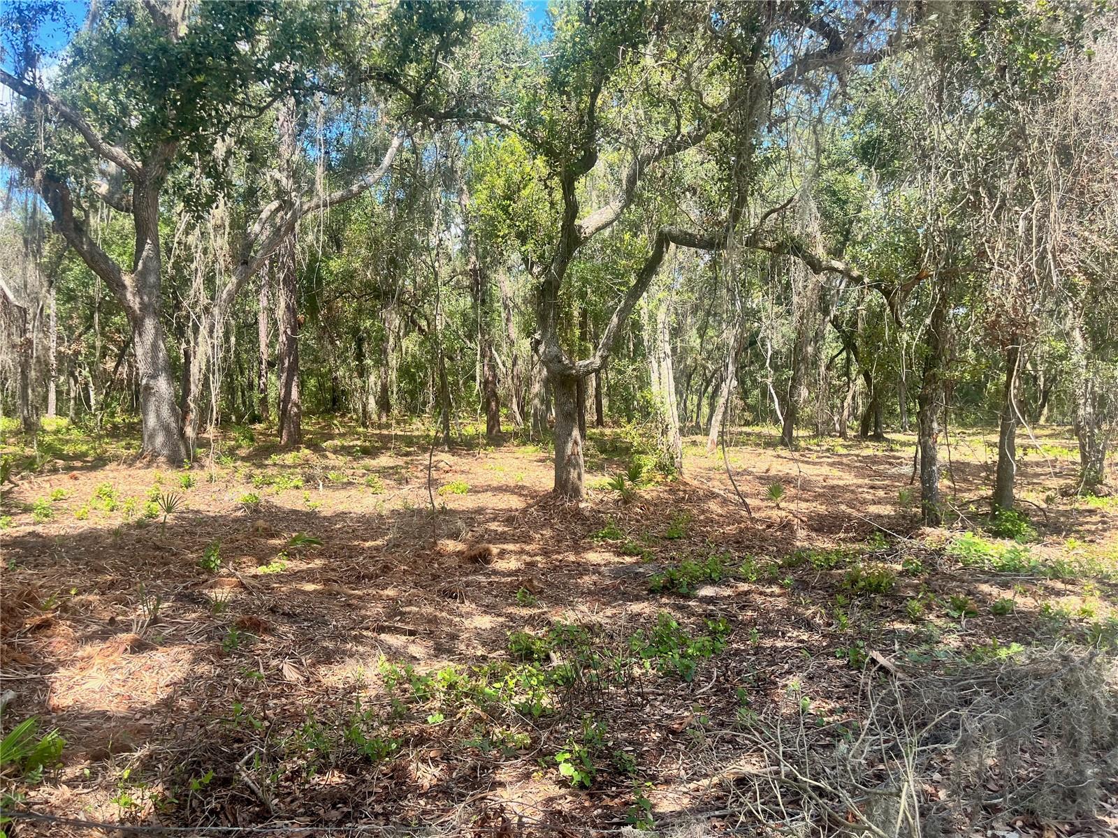 2 SENDCASTLE DR, GROVELAND, FL — photo 73