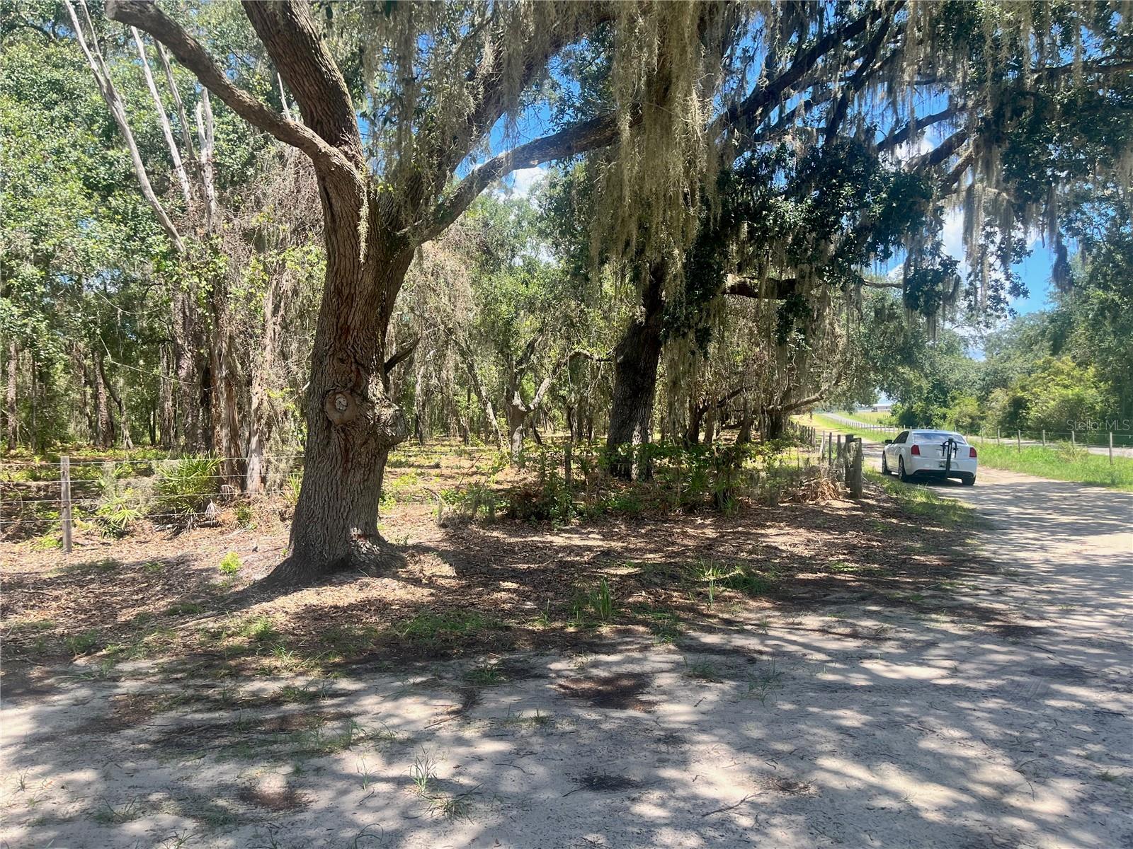 2 SENDCASTLE DR, GROVELAND, FL — photo 80