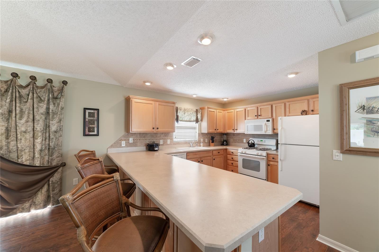 1497 ALEXANDRIA PL, THE VILLAGES, FL — photo 9