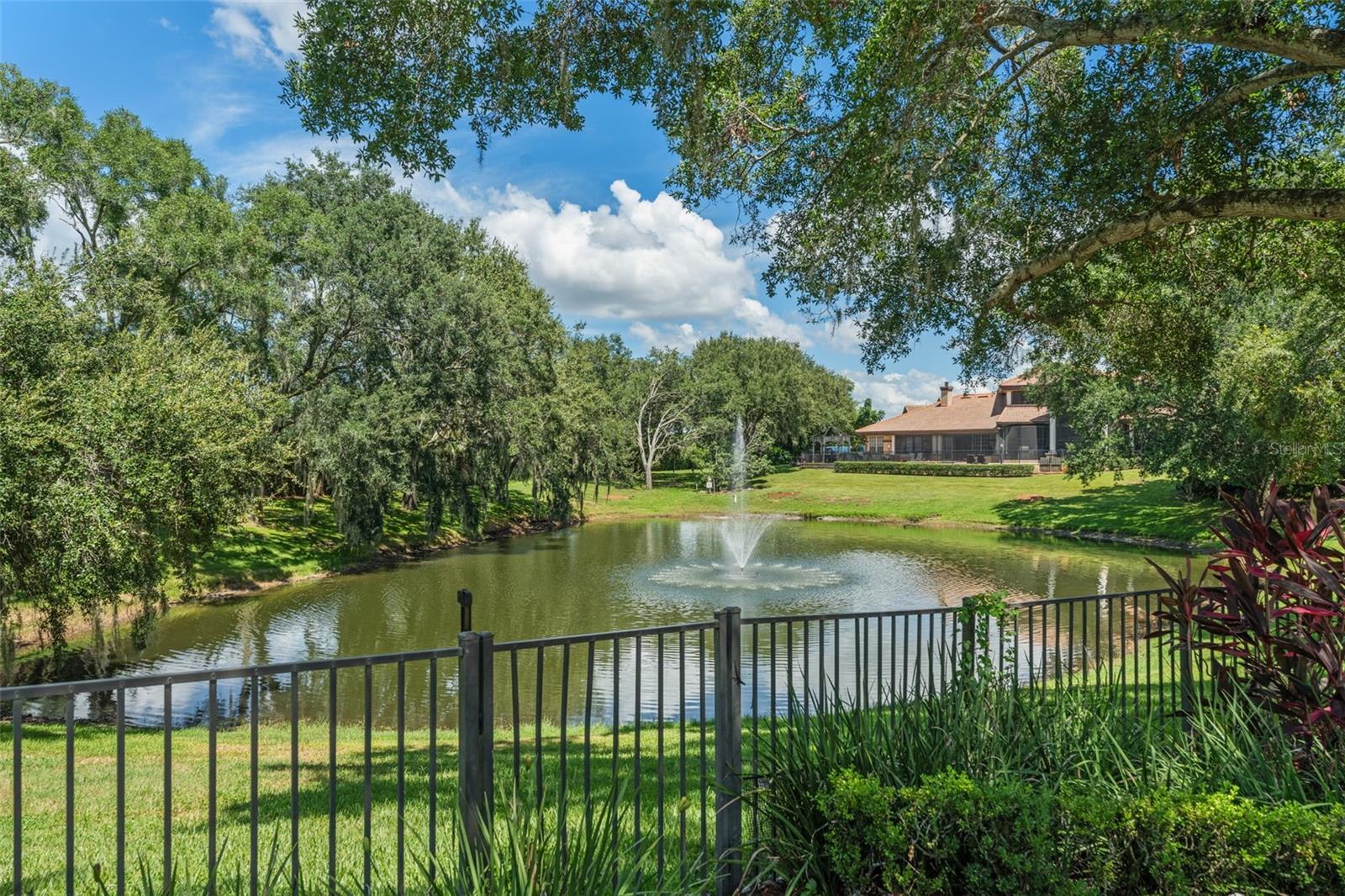 9731 CHESTNUT RIDGE DR, WINDERMERE, FL — photo 51