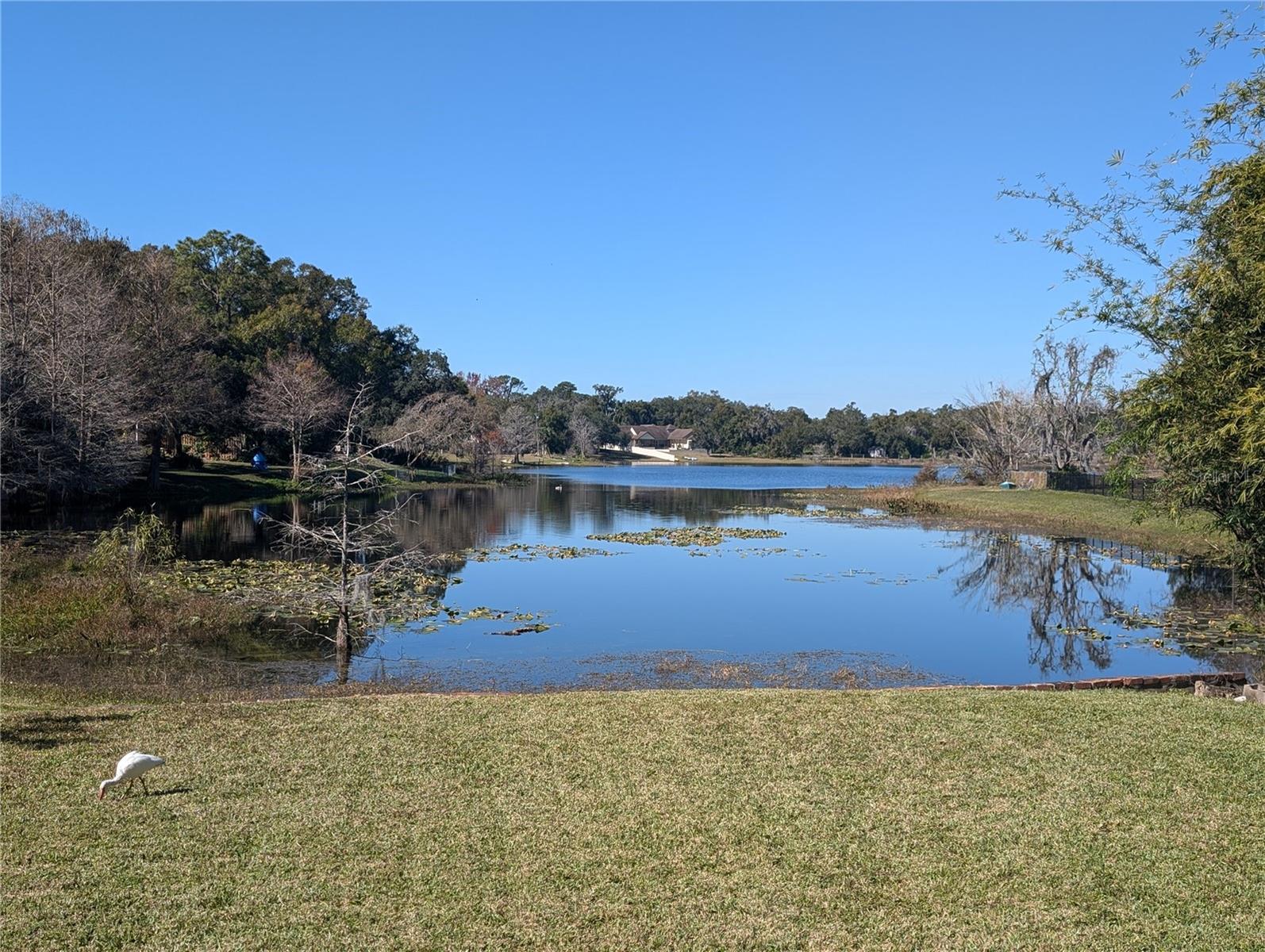 800 LAKE MARION DR, ALTAMONTE SPRINGS, FL — photo 3