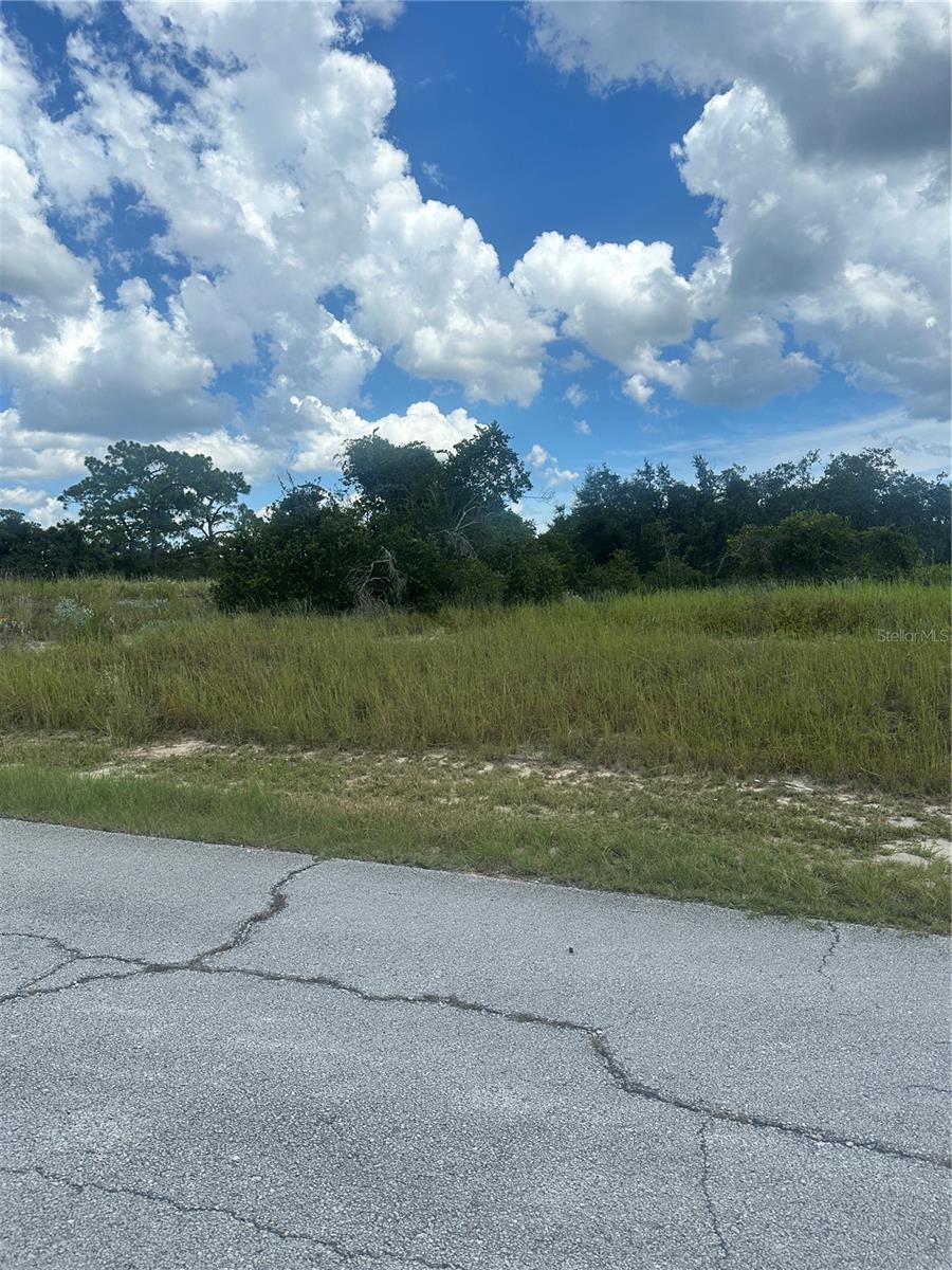 1348 HOMOSASSA CT, KISSIMMEE, FL — photo 3