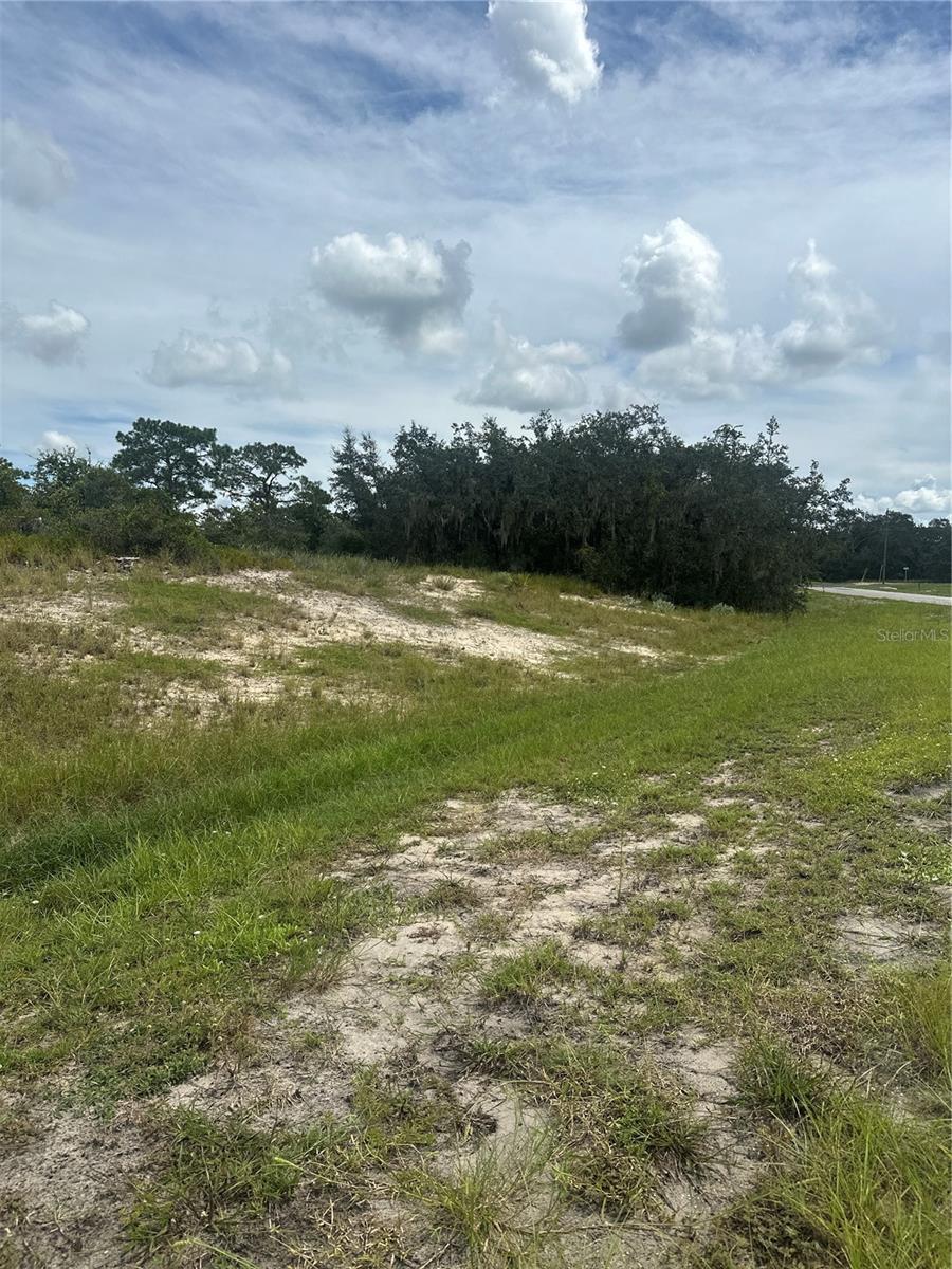 1348 HOMOSASSA CT, KISSIMMEE, FL — photo 8