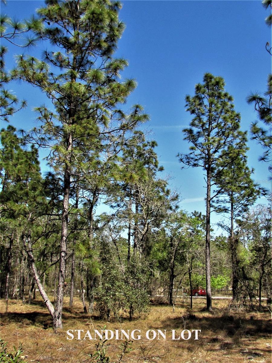 LOMBARDY LANE, DUNNELLON, FL — photo 3