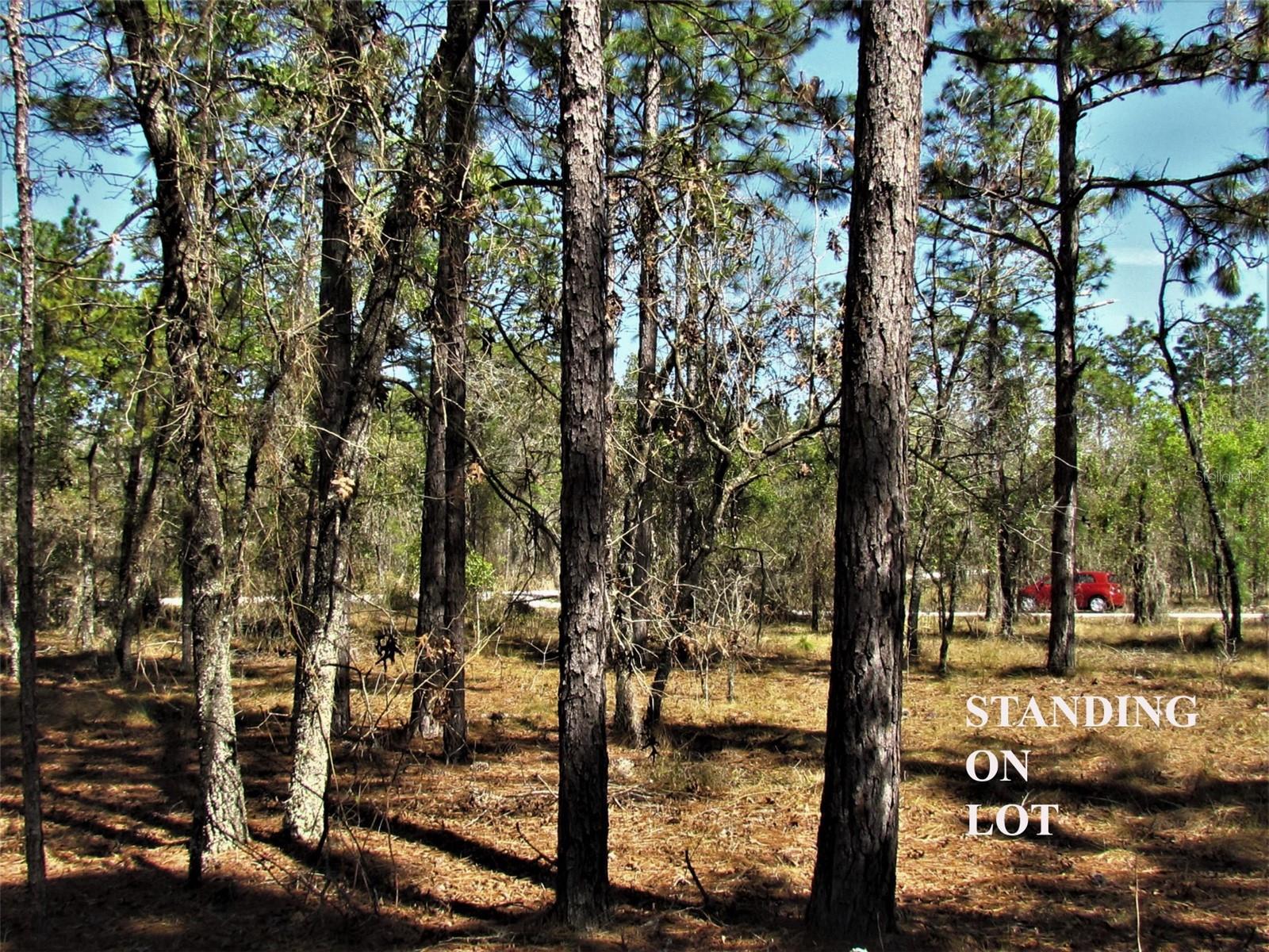 LOMBARDY LANE, DUNNELLON, FL — photo 4