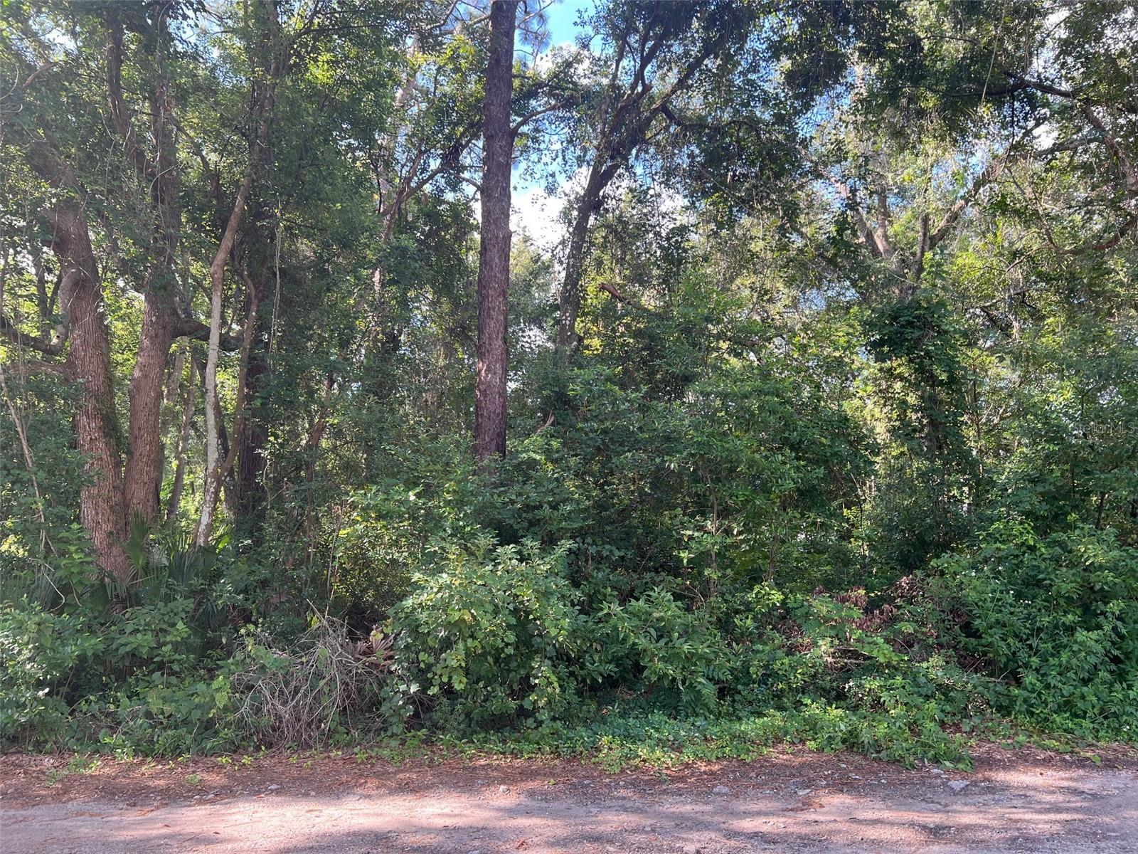 PAR AVE, SORRENTO, FL — photo 5
