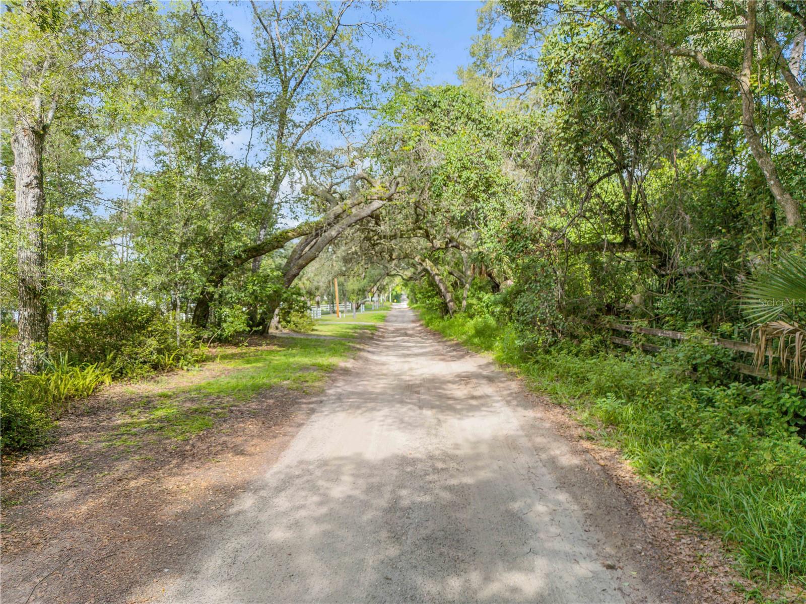1080 E FRENCH AVE, ORANGE CITY, FL — photo 2