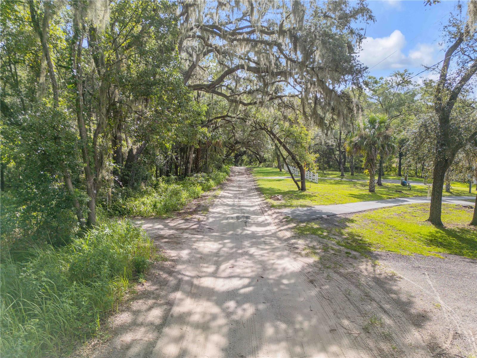 1080 E FRENCH AVE, ORANGE CITY, FL — photo 86