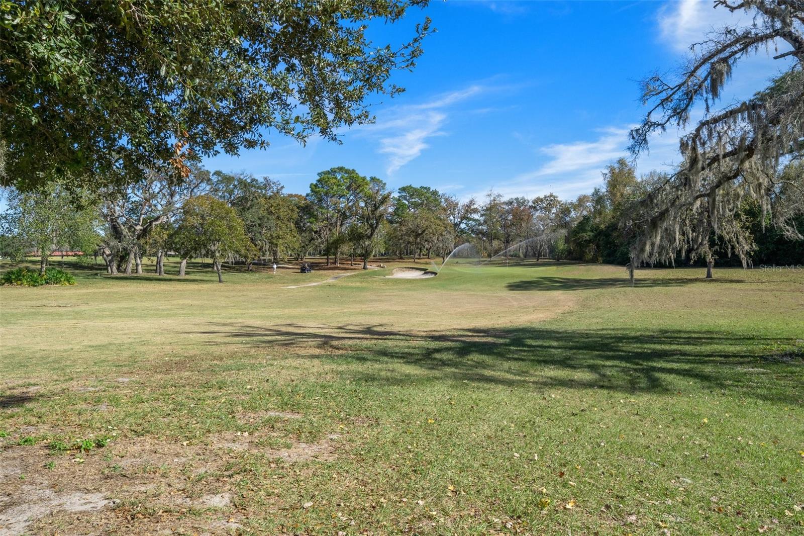 3 CYPRESS RUN #33A, HOMOSASSA, FL — photo 42