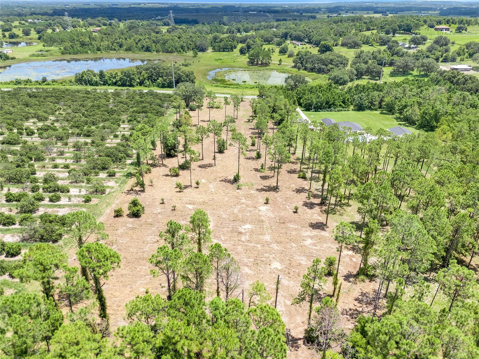 S DEWEY ROBBINS RD, HOWEY IN THE HILLS, FL — photo 14