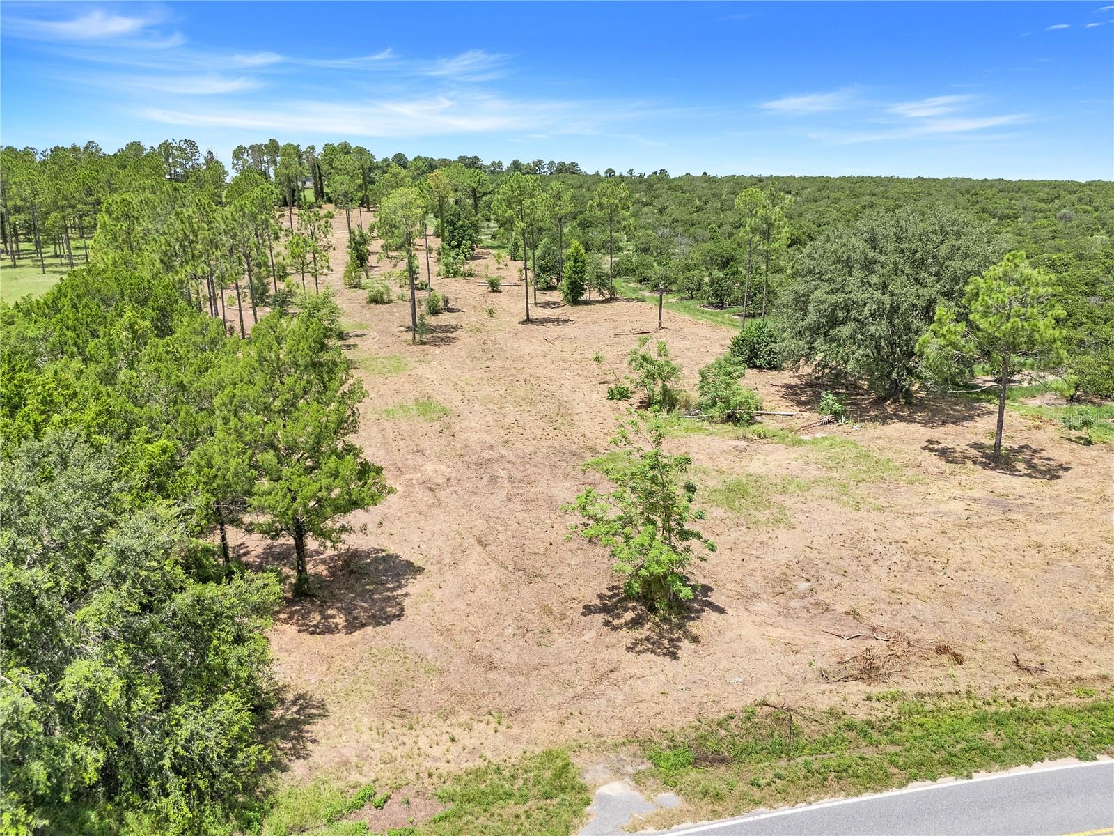 S DEWEY ROBBINS RD, HOWEY IN THE HILLS, FL — photo 15