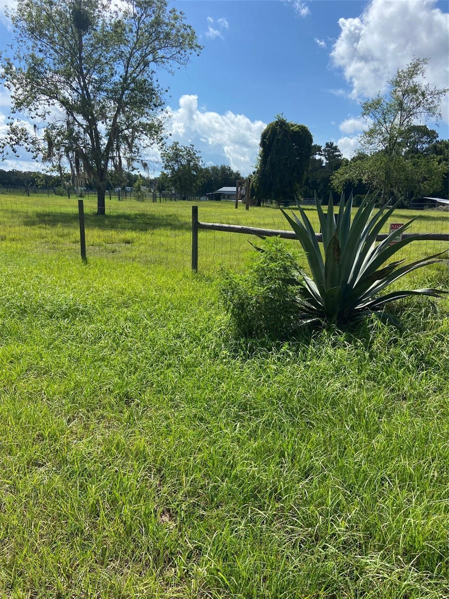74 LOCUST RUN, OCALA, FL — photo 5