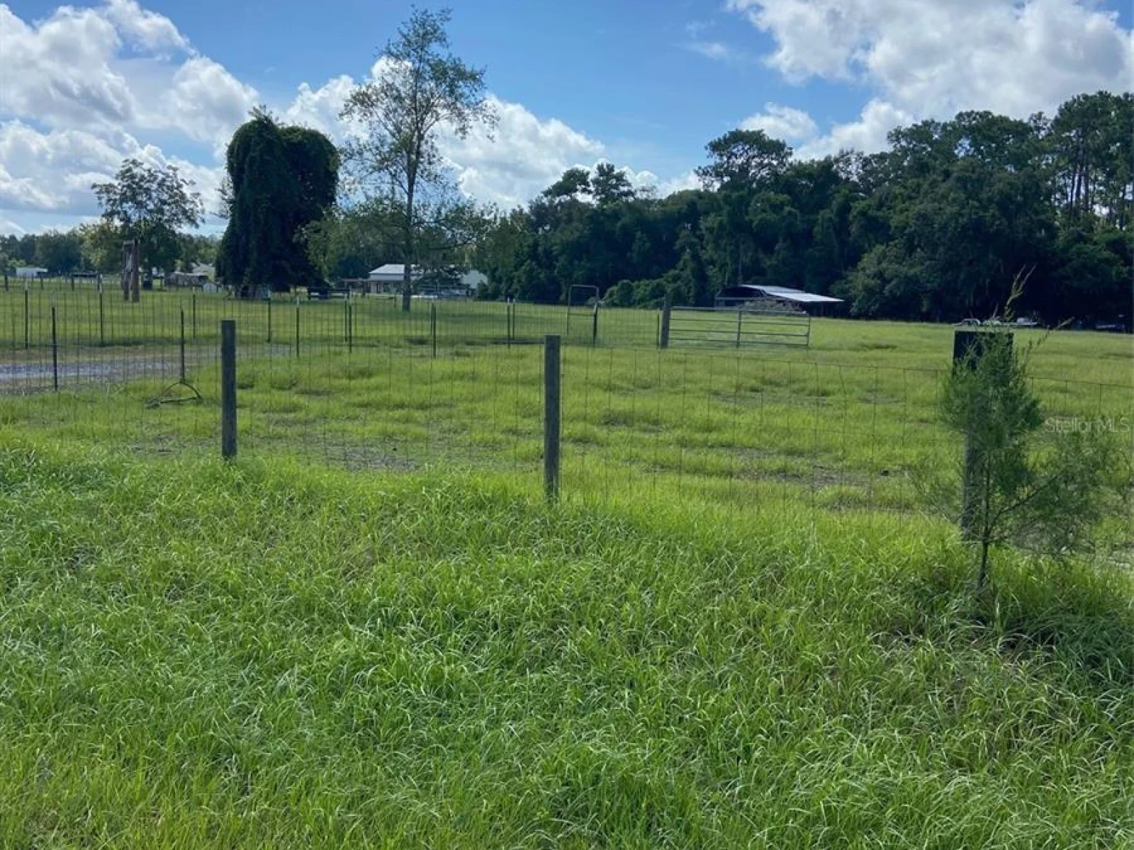74 LOCUST RUN, OCALA, FL — photo 8