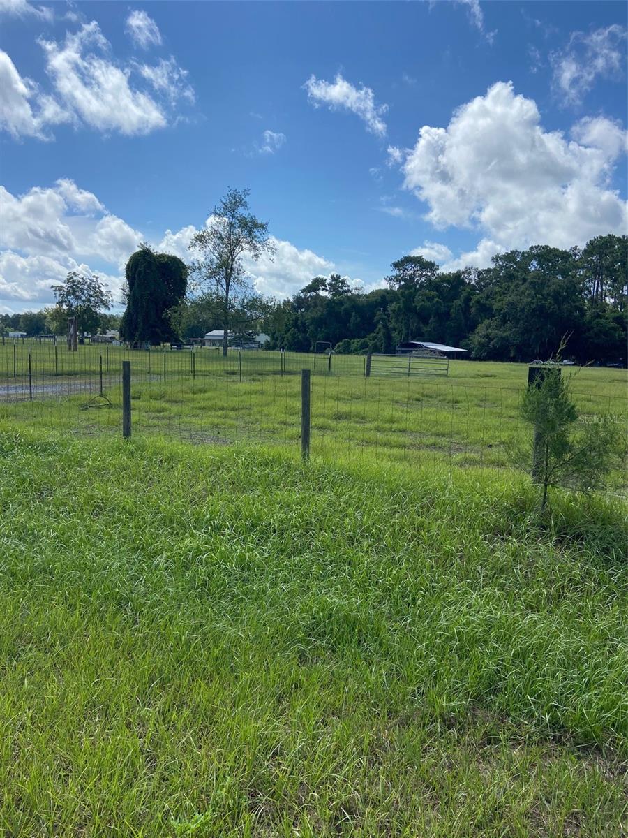 74 LOCUST RUN, OCALA, FL — photo 7