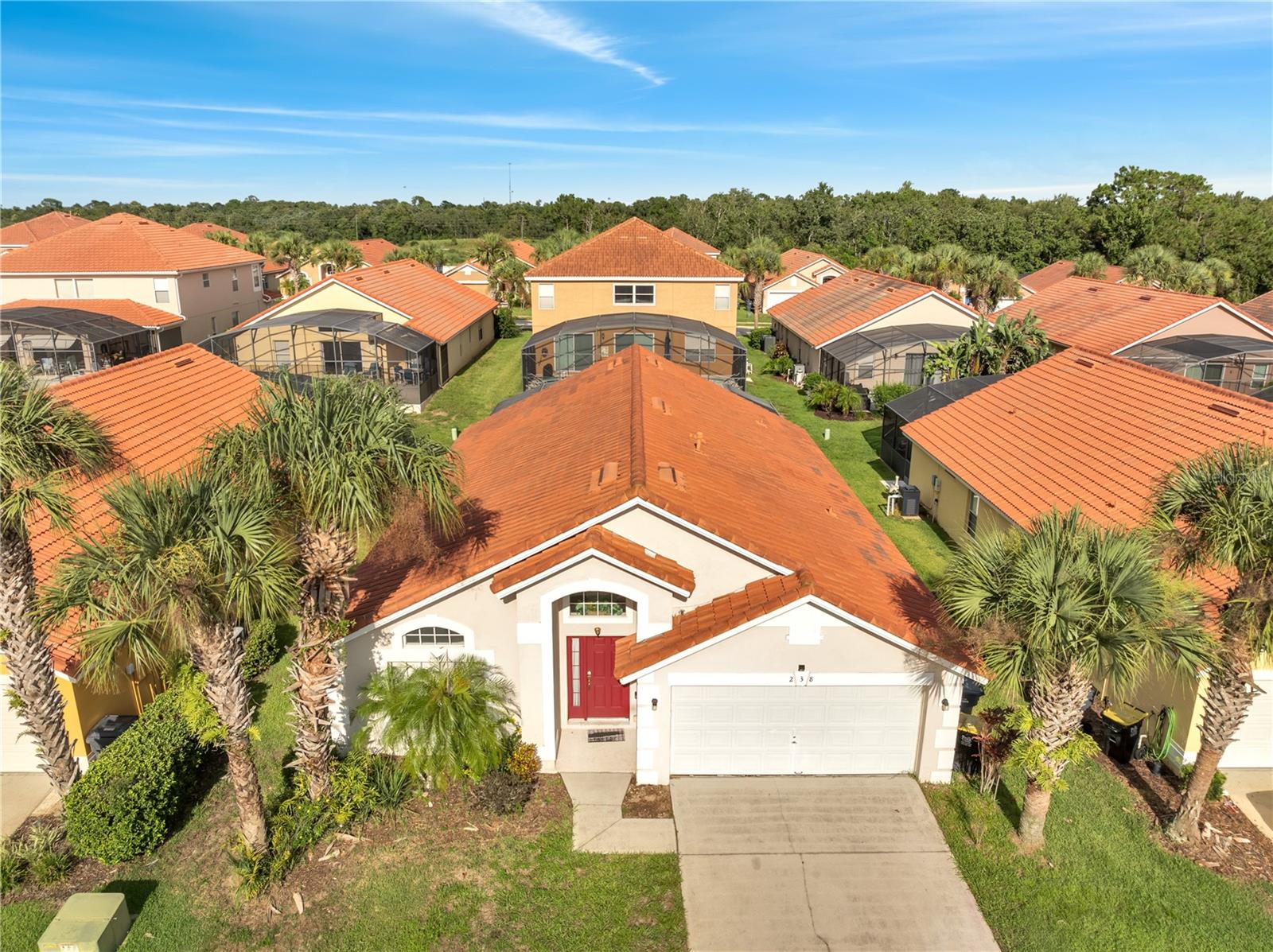 238 ROSSO DR, DAVENPORT, FL