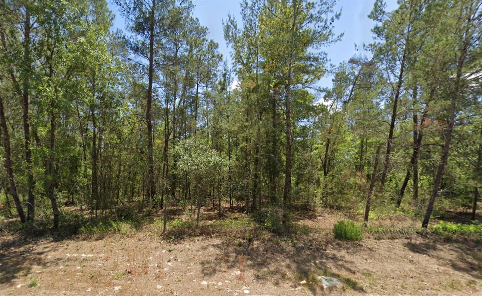 6230 W OAK PARK BLVD, HOMOSASSA, FL