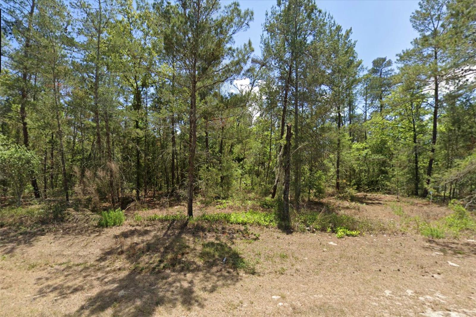 6230 W OAK PARK BLVD, HOMOSASSA, FL — photo 2