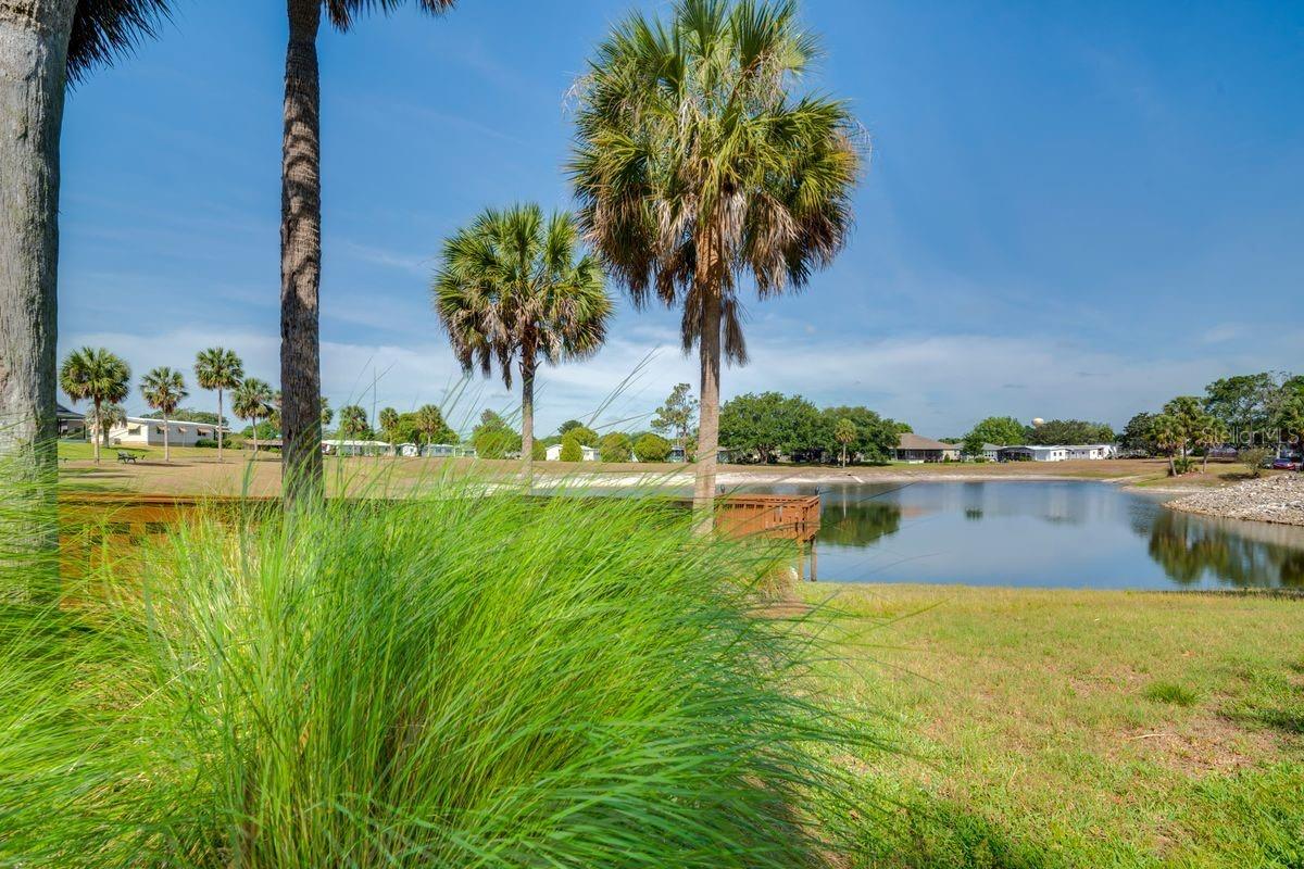 1224 DUSTIN DR, LADY LAKE, FL — photo 17