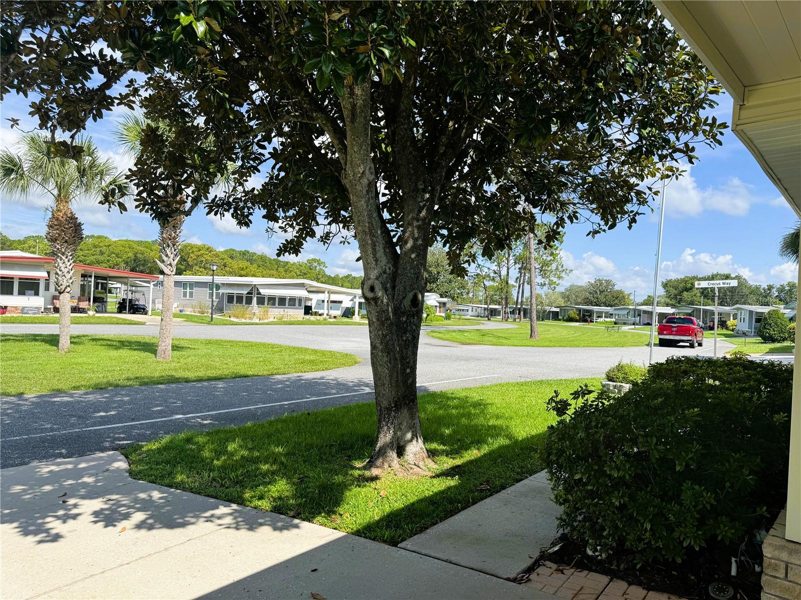 518 HAWTHORNE BLVD, LEESBURG, FL — photo 10