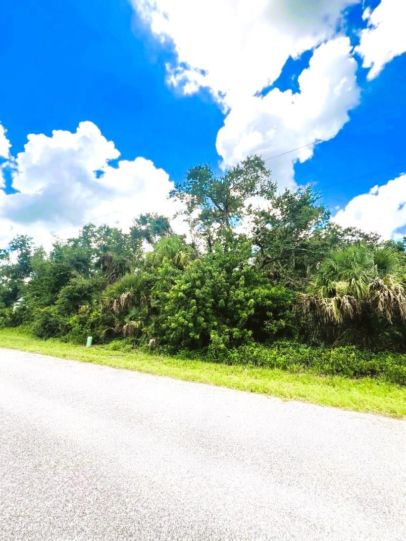 323 CANORA DR, PORT CHARLOTTE, FL