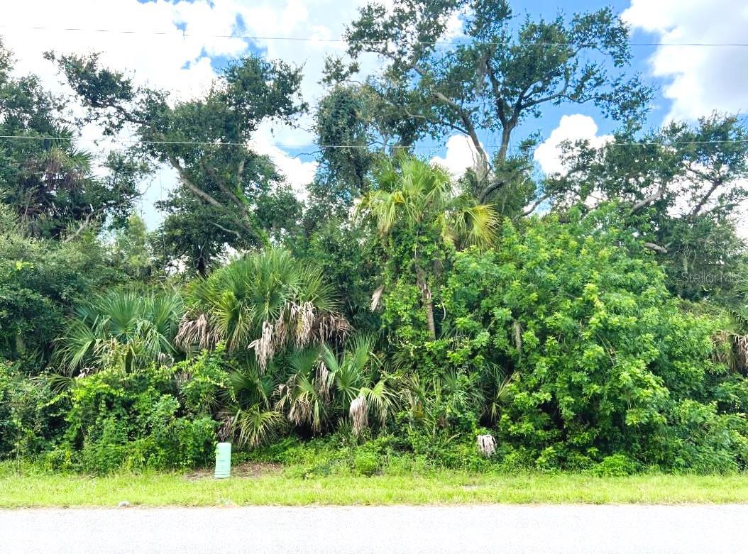 323 CANORA DR, PORT CHARLOTTE, FL — photo 2