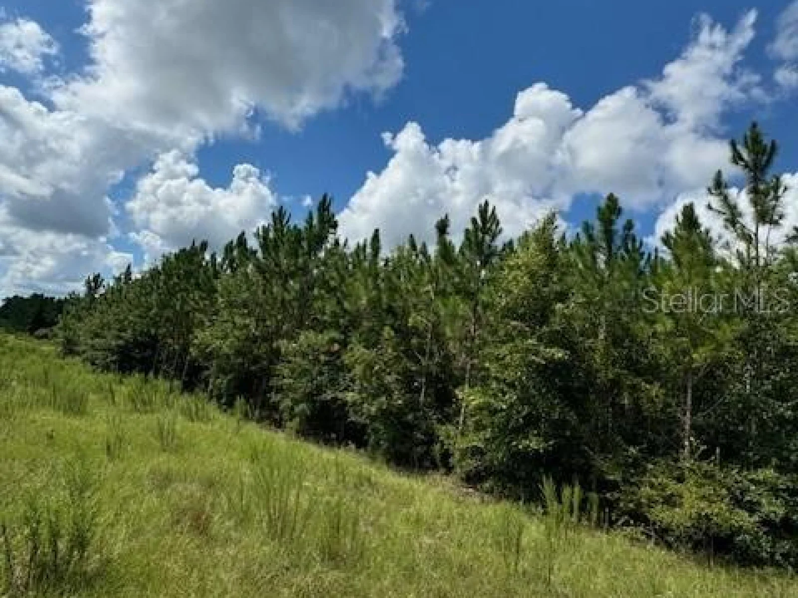 SW COLES CT, FORT WHITE, FL — photo 3