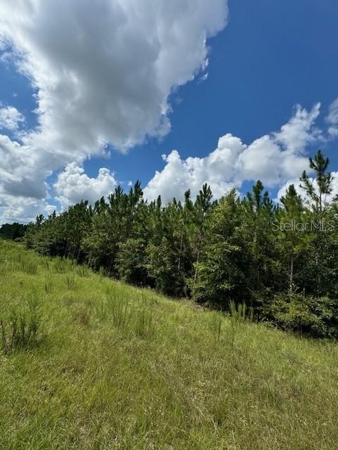 SW COLES CT, FORT WHITE, FL — photo 4