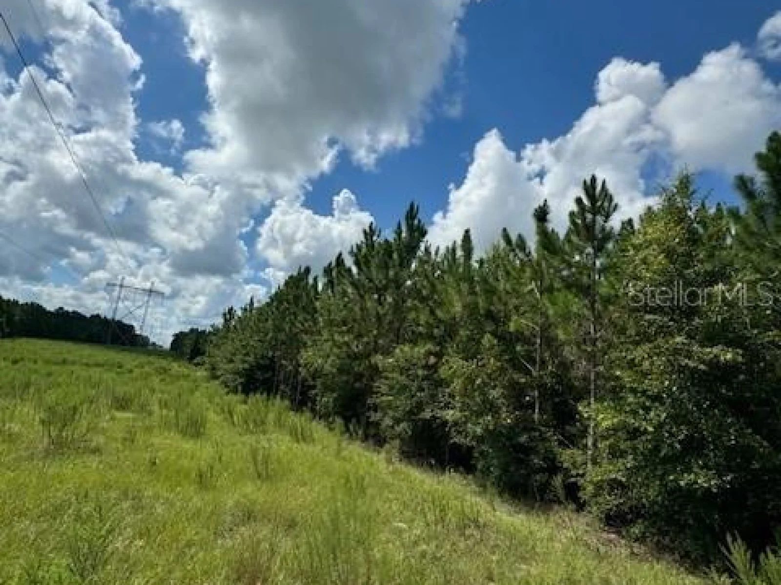 SW COLES CT, FORT WHITE, FL — photo 6