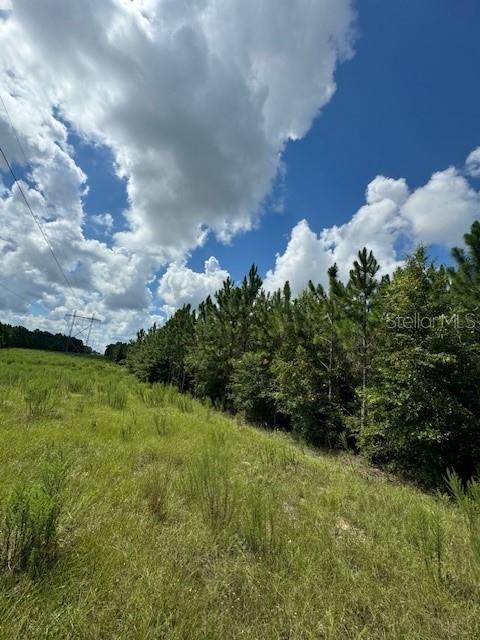 SW COLES CT, FORT WHITE, FL — photo 5