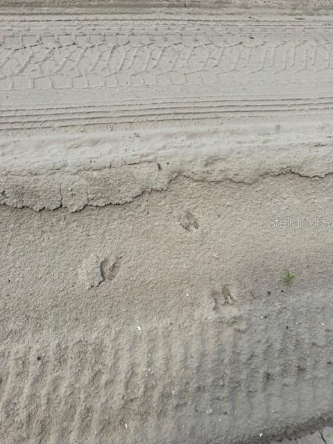SW COLES CT, FORT WHITE, FL — photo 7