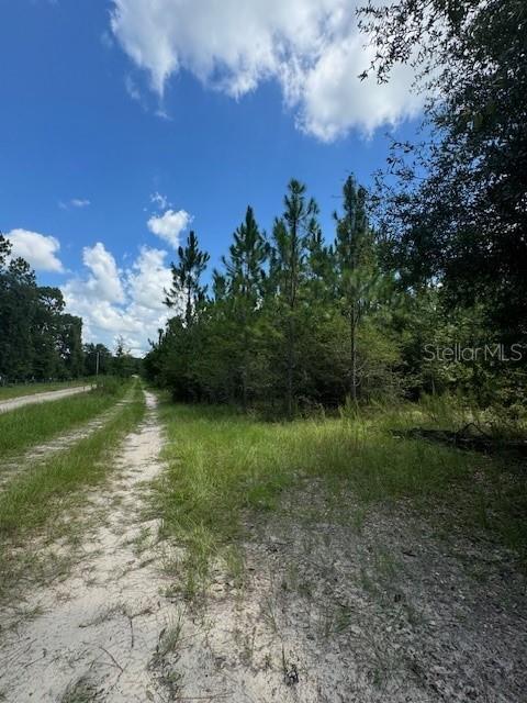 SW COLES CT, FORT WHITE, FL — photo 10